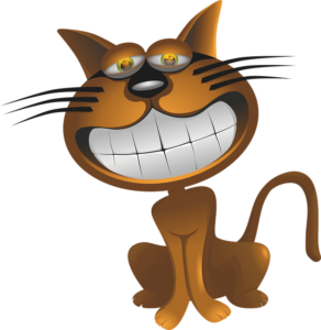 katze ratgeber