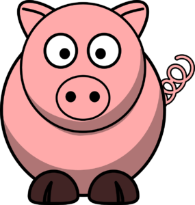 darf katze schweinefleisch fressen