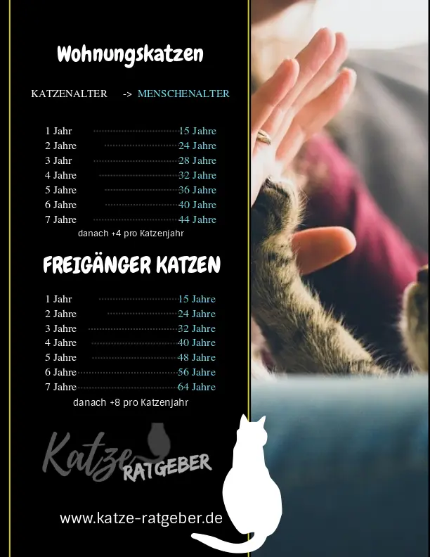 katzenjahre menschenjahre