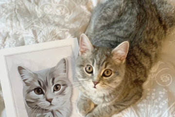 tierportrait