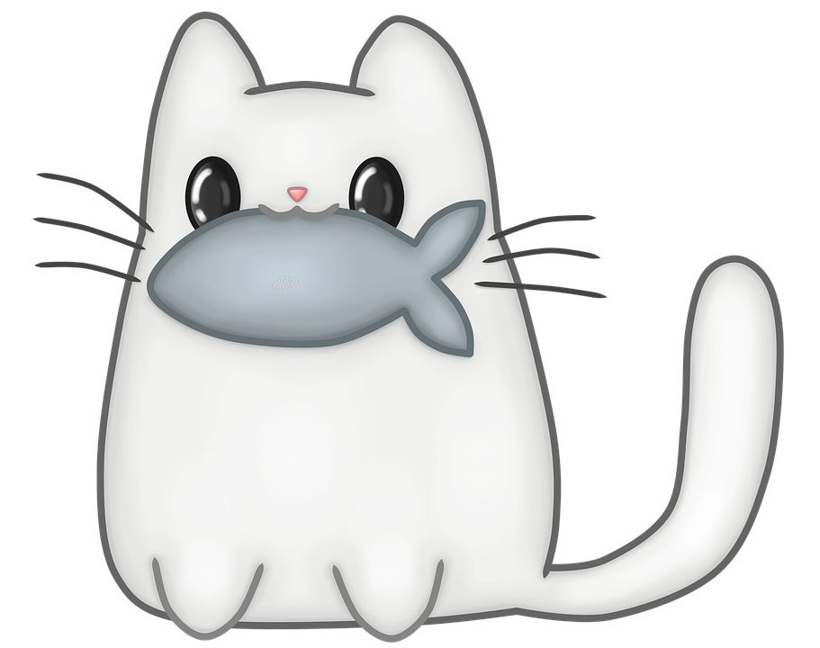 katze-ratgeber.de