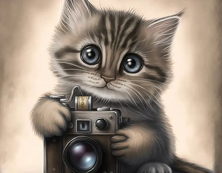 Bodycam für Katzen: Was Du beim Kauf beachten musst