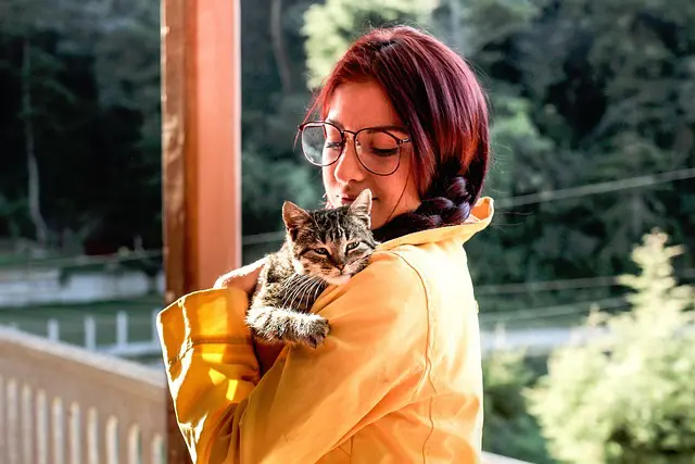 geschenke-katzen
